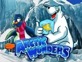 Arctic Wonders game screenshot